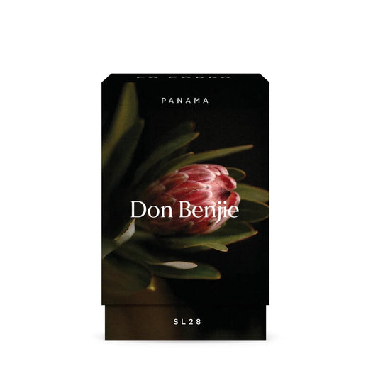 PANAMA Don Benjie