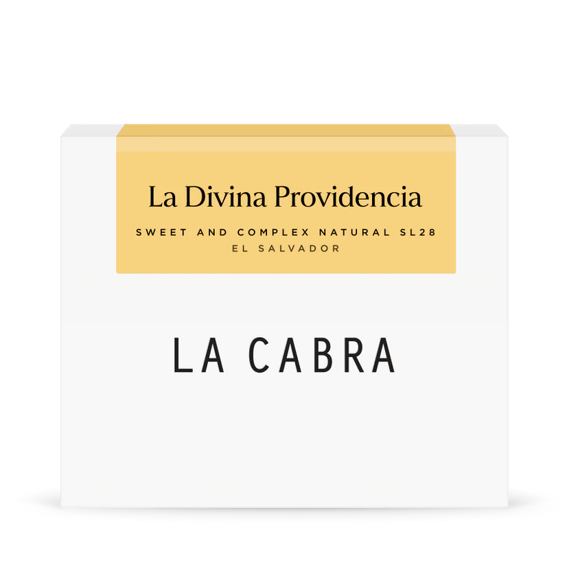 La Divina Providencia - Natural SL28 -El Salvador 250g